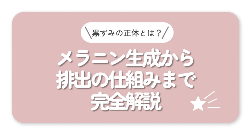 メラニン生成から 排出の仕組みまで 完全解説